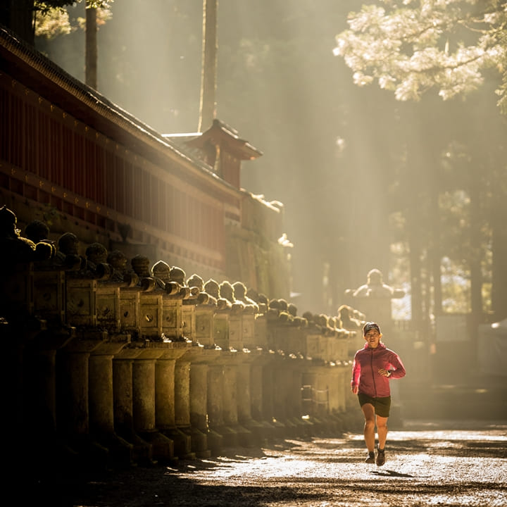 紅葉に彩られた世界遺産がメイン会場